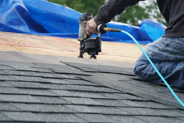 Best Roof Gutter Cleaning  in Asheville, NC